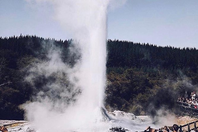 Rotorua Based Small Group Morning Tour Waimangu and Wai O Tapu - Customer Reviews