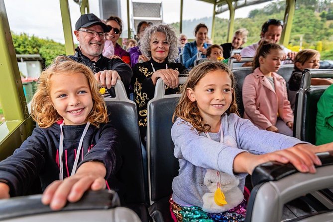 Rotorua Duck Boat Guided City and Lakes Tour - Accessibility Information