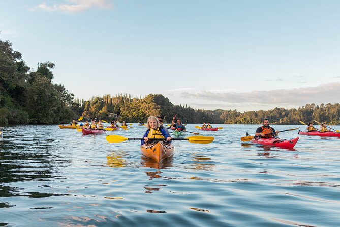 Rotorua: Evening Starlight Gourmet Kayak Tour Glowworms - Customer Testimonials