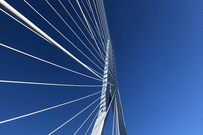 Rotterdam Architecture Highlights Walking Tour - Cancellation Policy