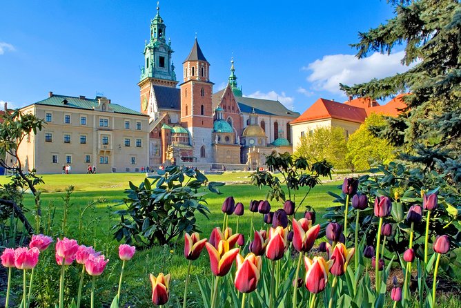 Royal Classic Walking Tour in Krakow - Traveler Reviews and Feedback