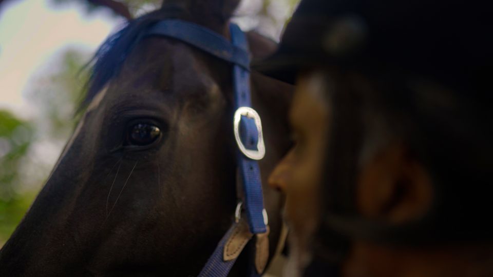 Rural Trail On Marwari Horseback At Private Ranch in 12Acres - Instruction and Riding Experience