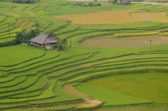 Sa Pa 2-Day Moderate Trek and Homestay Limousine Tour From Hanoi - Dietary Considerations