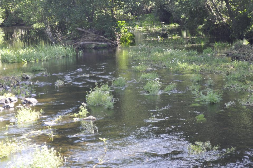 Sabugal Walking Tour: Stories and Charms of the Côa River - What to Expect During the Tour