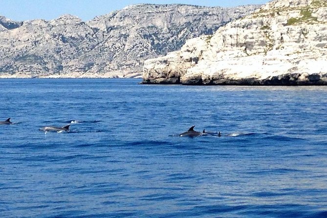 Sailing Day in the Heart of the Calanques - Tips for a Great Day