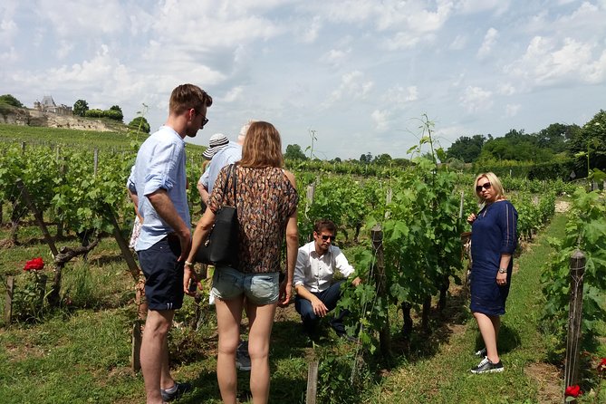 Saint Emilion Wine Tour Half Day - Pricing and Booking Options
