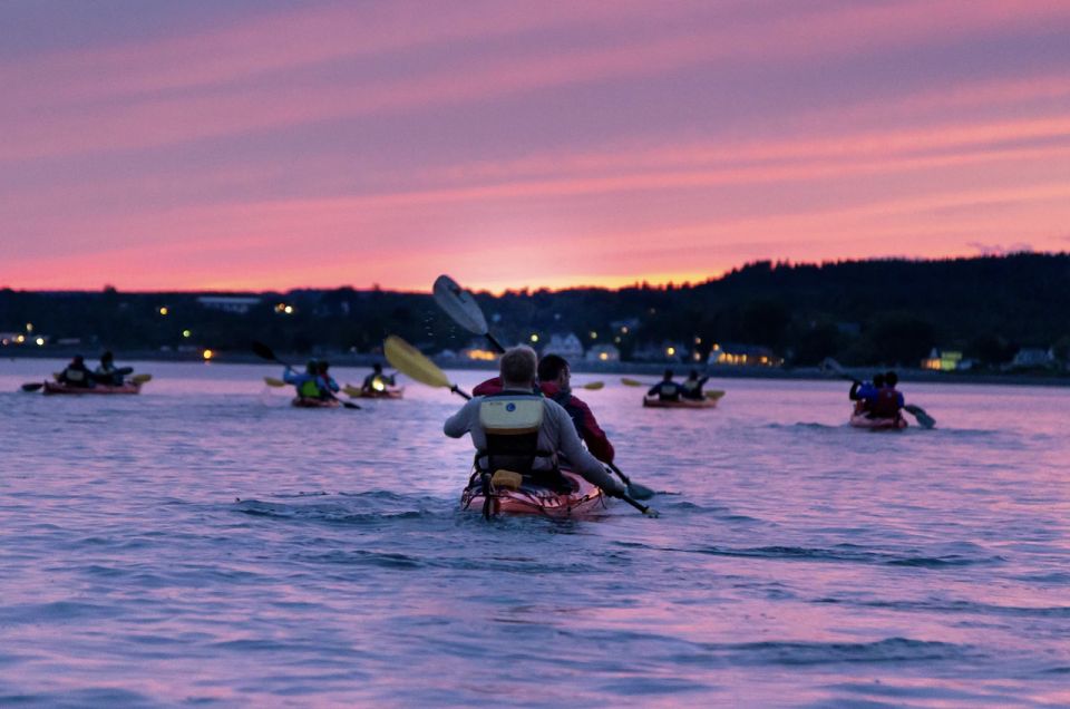 Saint John: Bay of Fundy Guided Kayaking Tour With Snack - Equipment, Safety, and Meals