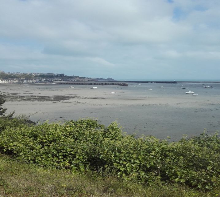 Saint-Malo: Dinan, Fort La Latte, & Cap Fréhel Private Tour - How to Book