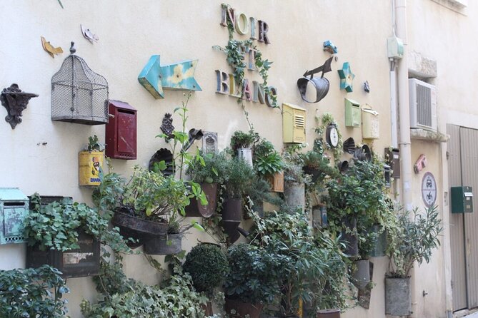 Saint Remy, Les Baux and Pont Du Gard Small Group Day Trip - Customer Feedback