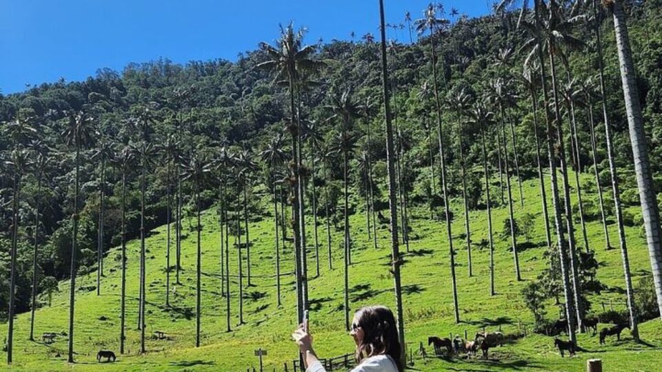 Salento, Cocora Horseback Riding From Pereira or Armenia - Pricing and Booking Options