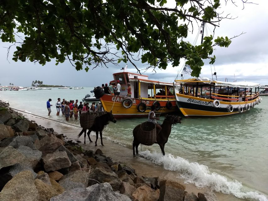 Salvador: Morro De São Paulo Island Transfer Service