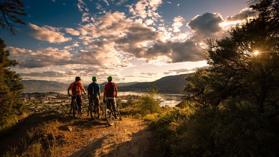Salzburg: City and Countryside Mountain Bike Tour - Customer Feedback