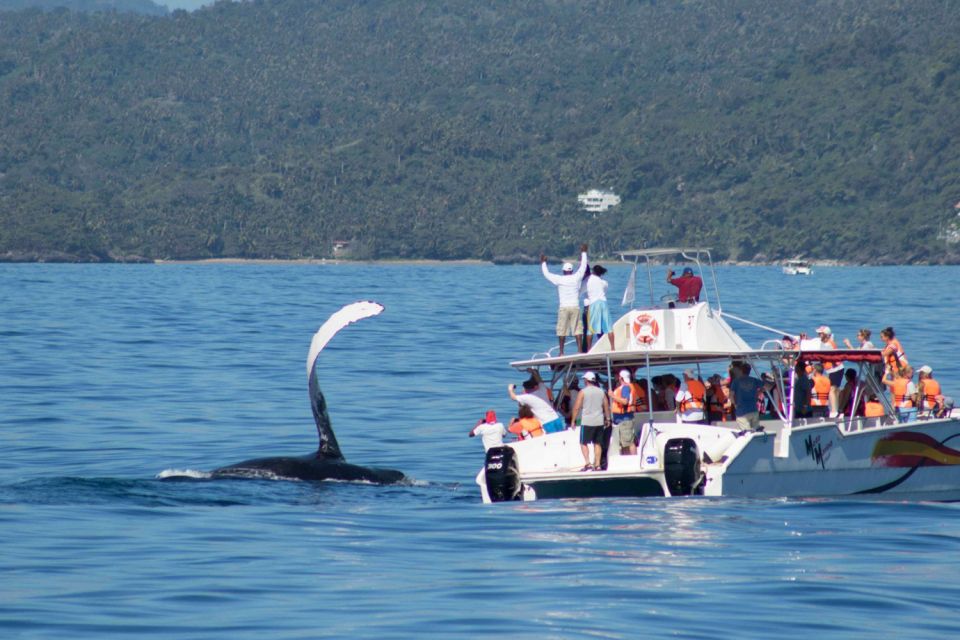 Samana: Bay of Samana Whale Watching Experience - On-Board Amenities