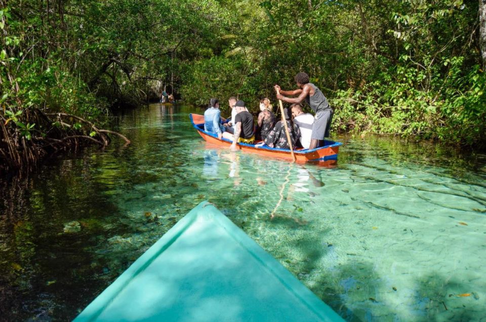 Samana: Cayo Levantado Bacardi Island and Waterfall - Catamaran Cruise to Cayo Levantado