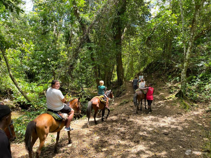 Samana From Punta Cana: Cayo Levantado & El Limon Waterfall - Swimming at Cayo Levantado