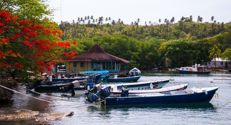 San Andrés: Guided Cays and Mangroves Tour - Restrictions and Guidelines