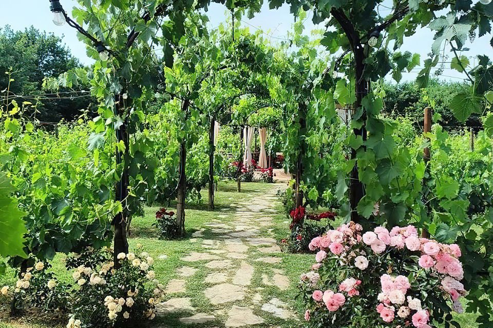 San Gimignano: Romantic Vineyard Lunch - Explore Grounds and Gardens