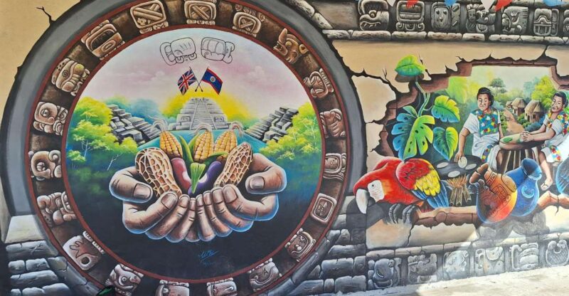 SAN Ignacio: Food Calligraphy Experience With a Mayan Family - Accessibility Features