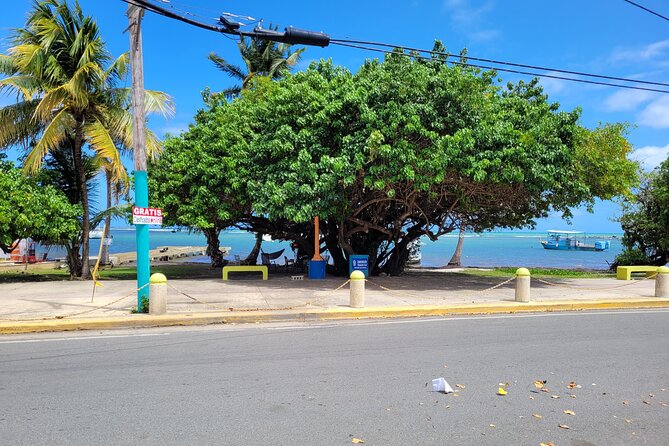 San Juan Airport Transportation to El Conquistador Hotel in Fajardo, PR - Additional Services