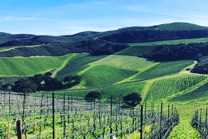Santa Barbara Wine Country Tour - Notable Wineries to Visit