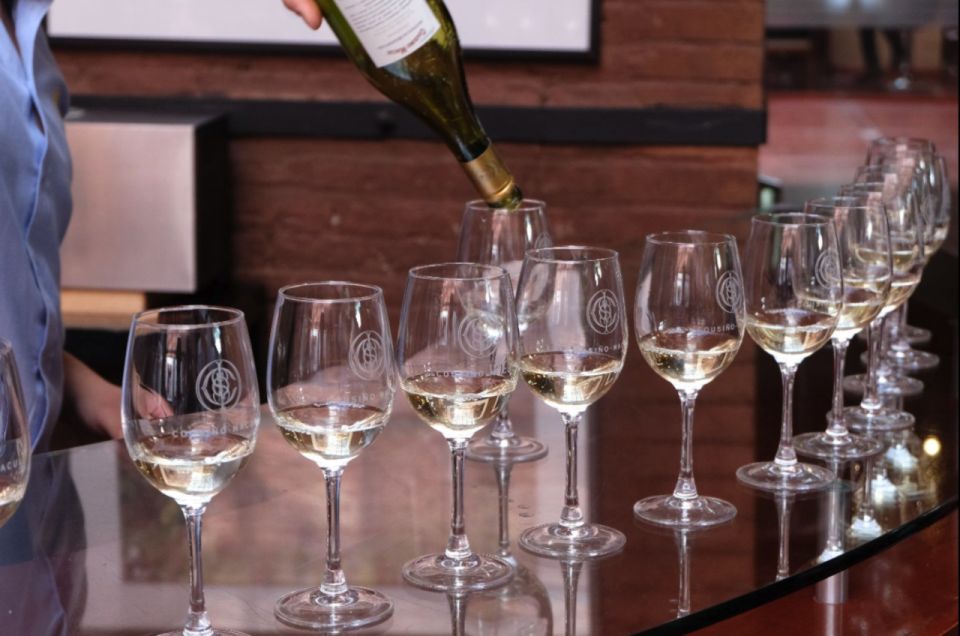Santiago: Cousiño Macul Official Winery Tour With Tasting - Customer Reviews and Feedback