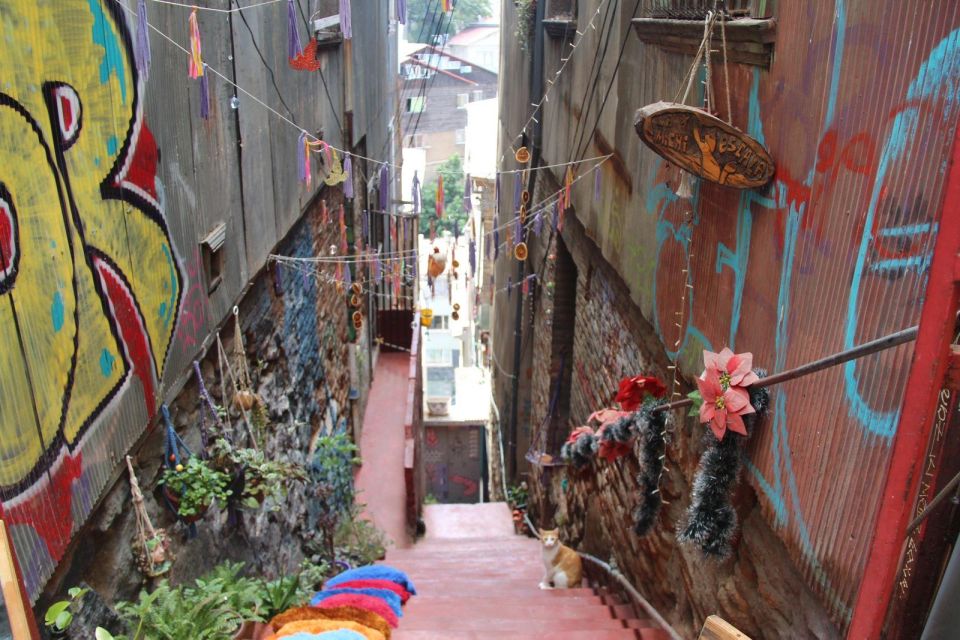 Santiago: Valparaiso and Viña Del Mar Foodie Experience. - Important Information for Travelers
