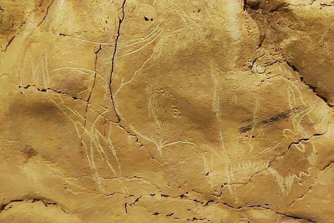 Santillana Del Mar & Altamira Museum From Santander - Accessibility Details