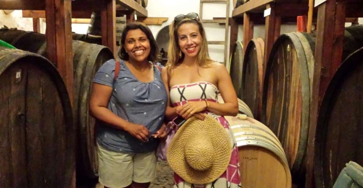 Santorini: History & Wine Trails Tour - Customer Reviews and Ratings
