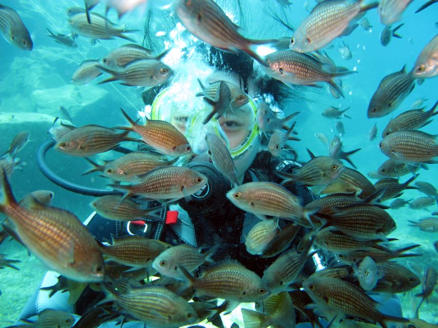 Santorini: Scuba Diving Experience for Beginners - Meeting Point Information