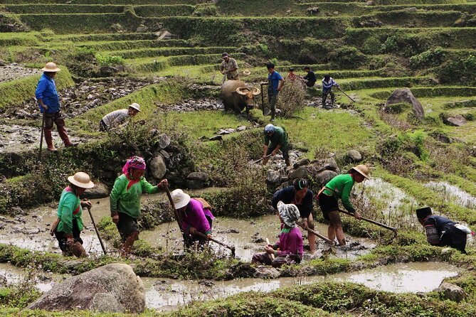 Sapa Hmong Family Trekking Adventures - Traveler Reviews and Ratings