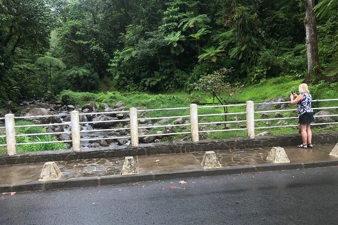 Scenic Tropical Rainforest & Island Tour - Tips for Travelers