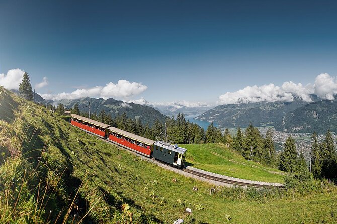 Schynige Platte Admission - Botanical Alpine Garden