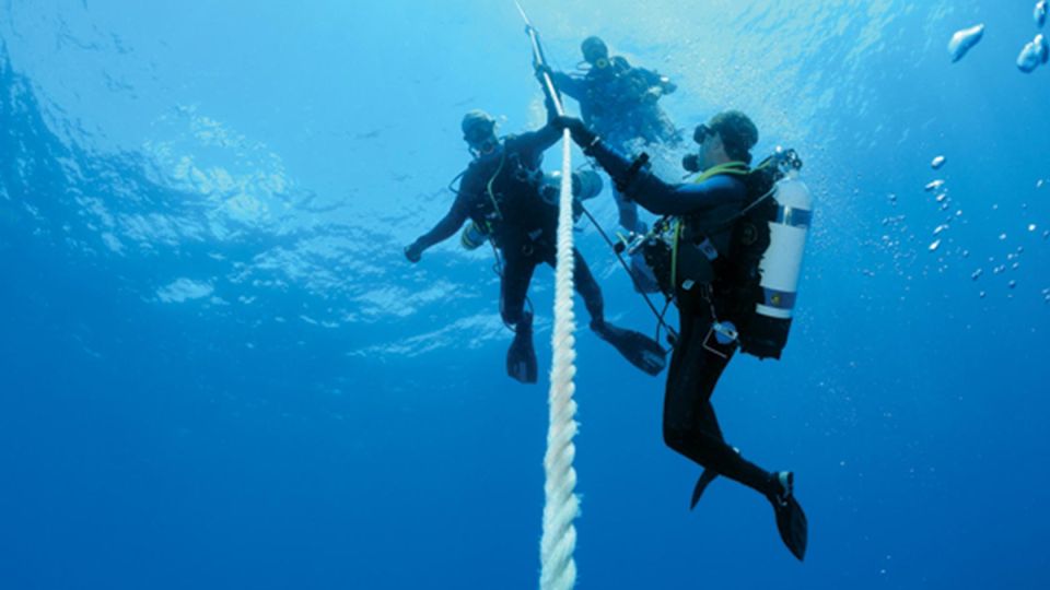 Scuba Diving Tour With Transfer From Alanya and City of Side - Equipment and Support Provided