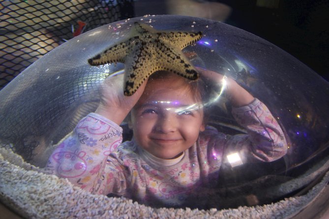 SEA LIFE Blackpool Admission Ticket - Accessibility Features