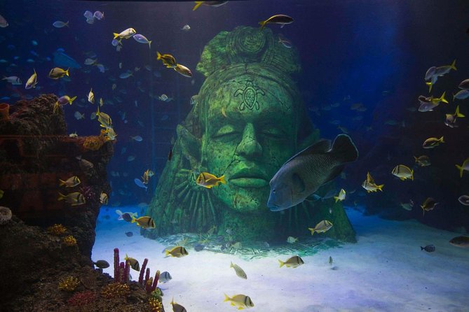 SEA LIFE Manchester Admission Ticket - Confirmation and Group Size Details