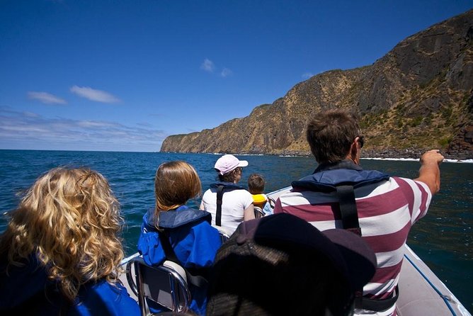 Seal Island Boat Tour From Victor Harbor - Booking Information