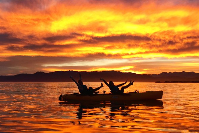 Seal Kayaking Adventure in Kaikoura - Important Safety and Health Guidelines