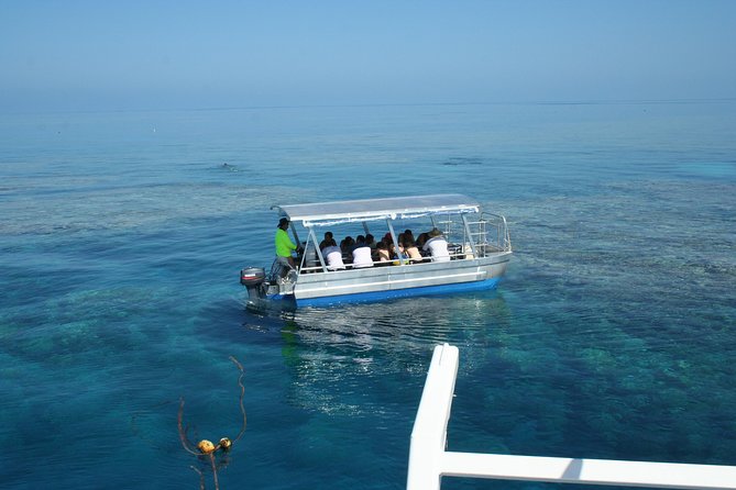 Seastar Luxury Outer Great Barrier Reef Island and Reef Tour - Snorkeling and Diving Options