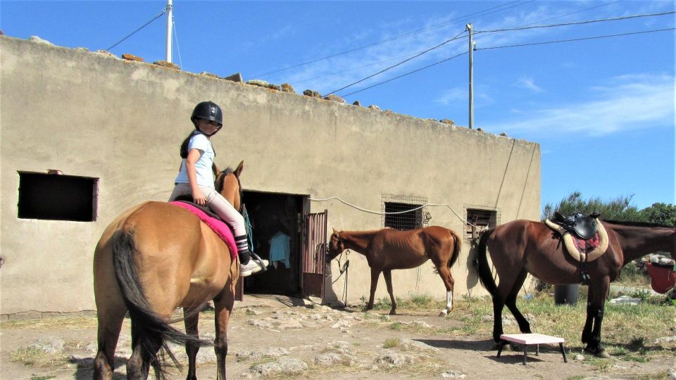 Sedini: Horseback Riding for Children Near Castelsardo - Important Safety Notes