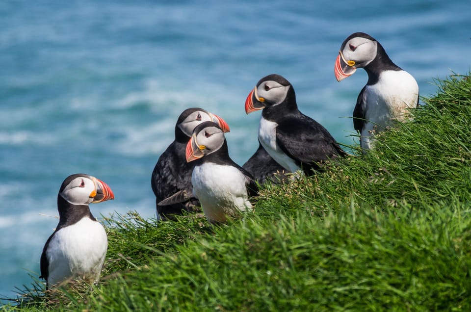 Self-Drive: Iceland Grand Tour (12 Days) - Rental Car Information