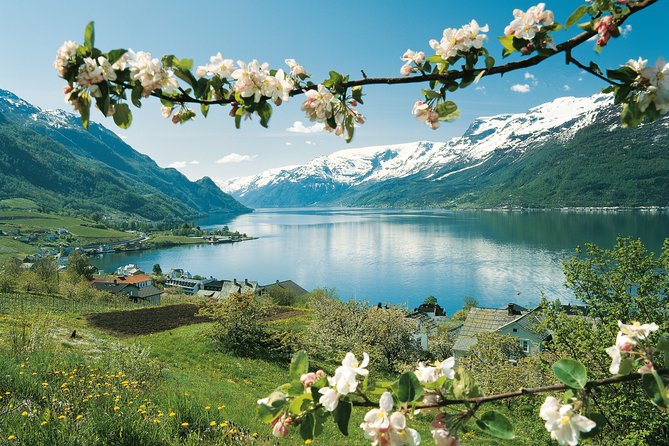 Self-Guided 22-Hour Round Trip From Oslo To Sognefjord With Flåm Railway - Booking Process