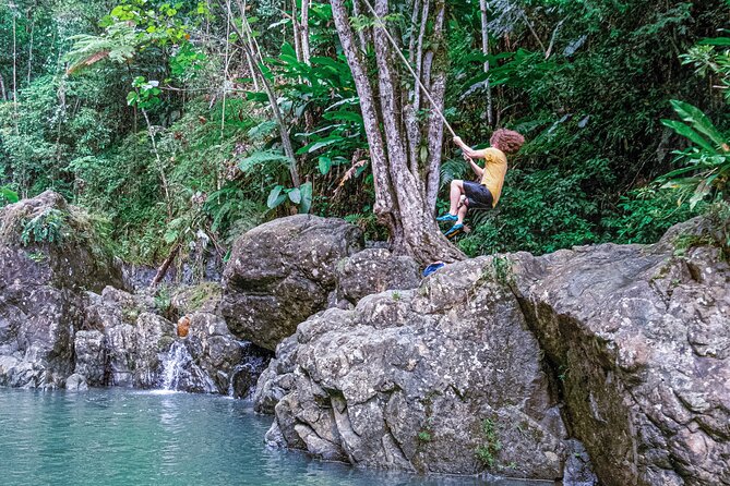 Semi Private El Yunque Tour -Transp. Inc. - Guide Performance and Expertise