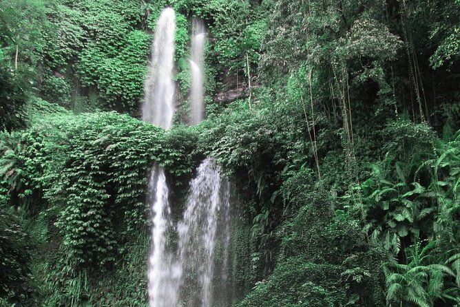 Sendang Gile & Tiu Kelep Waterfall Tour - Customer Reviews