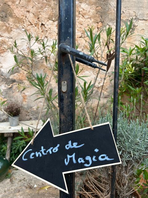 Ses Salines - Vida Magica: Yoga Class for Private Group - Combining Yoga and Spa