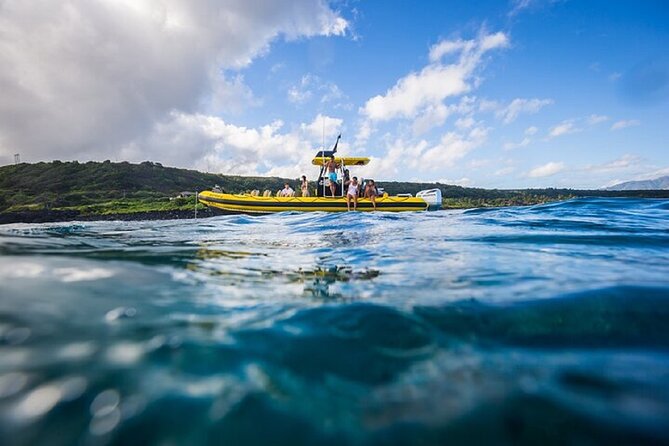 Shark-Dive Tour on Oahus North Shore - Tips for a Great Experience