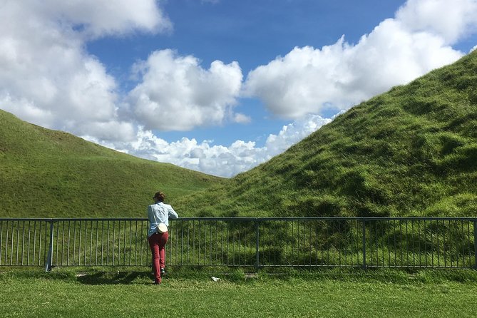 Shore Excursion: Half-Day Auckland Volcanoes Tour - Tips for Participants