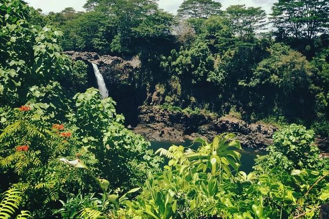 Shore Excursion: Volcano Adventure Tour From Hilo - Recommendations for Lunch Options