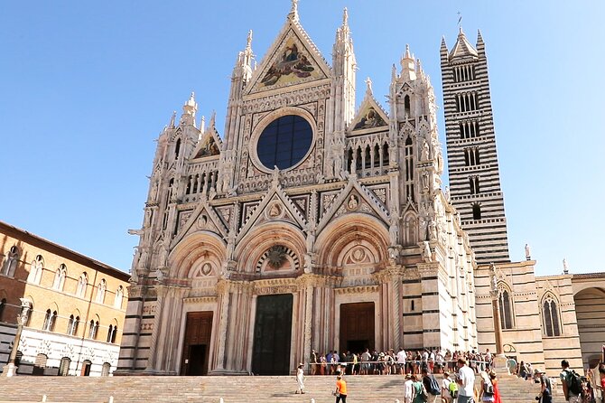 Siena San Gimignano Pisa Escorted Transport and Optional Lunch - Reviews and Traveler Experiences