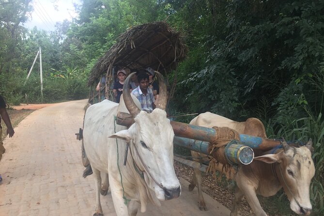 Sigiriya Day Trip With Experts - Village Experience and Lunch