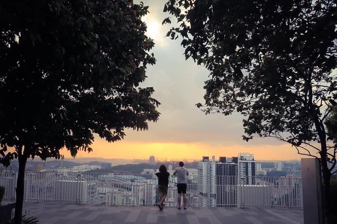 Singapore Group History & Culture Tour:River Cruise, Hawker Dinner & Tea Tasting - Exploring HDB Complexes